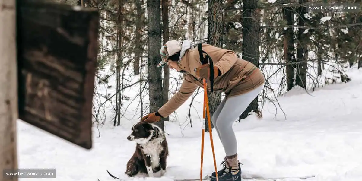 🚴 突破极限,超越自我!💨